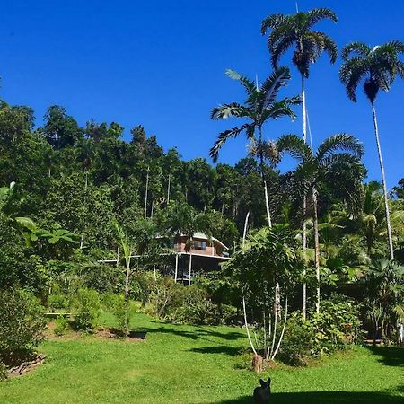 A Daintree Garden Villa Diwan Buitenkant foto