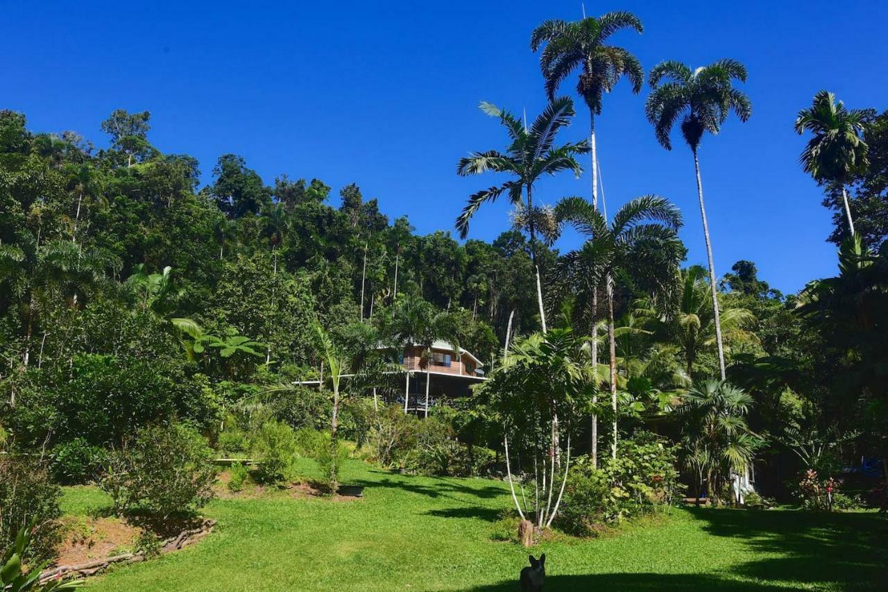 A Daintree Garden Villa Diwan Buitenkant foto