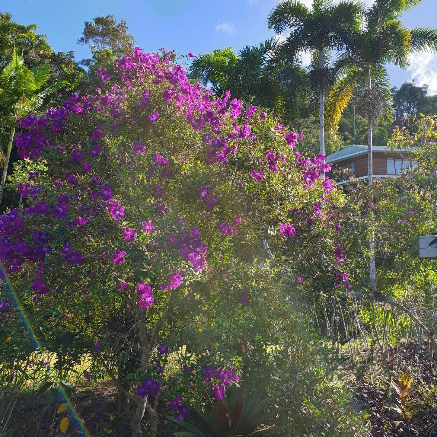 A Daintree Garden Villa Diwan Buitenkant foto