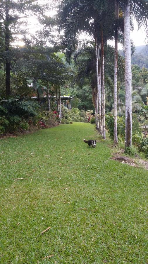 A Daintree Garden Villa Diwan Buitenkant foto