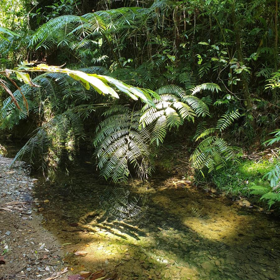 A Daintree Garden Villa Diwan Buitenkant foto