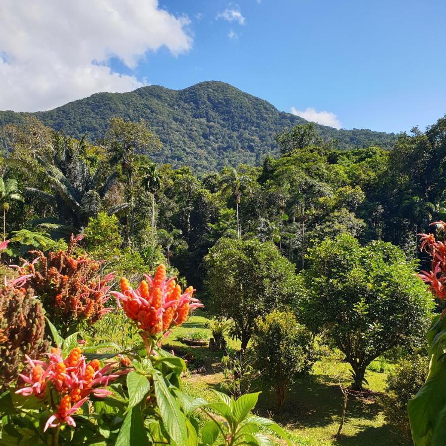 A Daintree Garden Villa Diwan Buitenkant foto